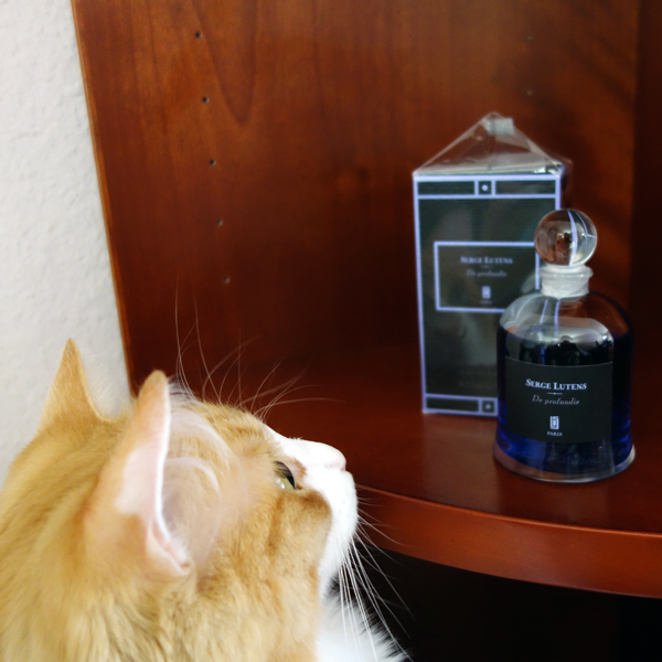 Rusty and Serge Lutens De Profundis