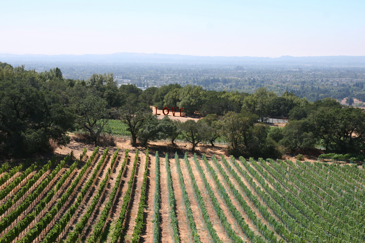 View from the Paradise Ridge Winery Tasting Room