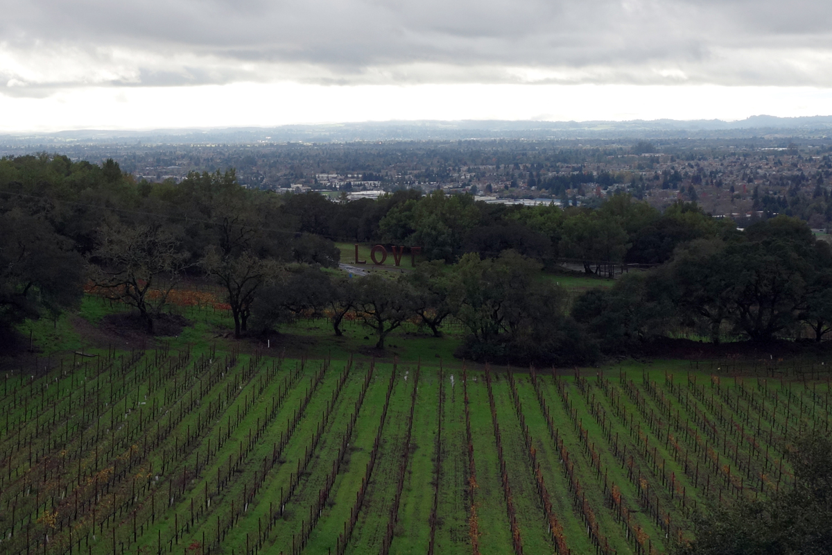 View from the Paradise Ridge Winery Tasting Room