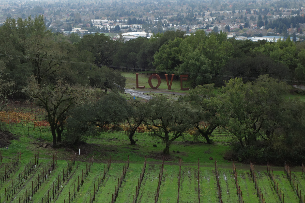 View from the Paradise Ridge Winery Tasting Room