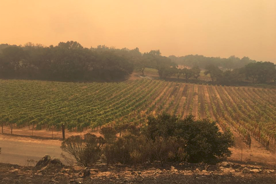 View from the Paradise Ridge Winery Tasting Room used to be