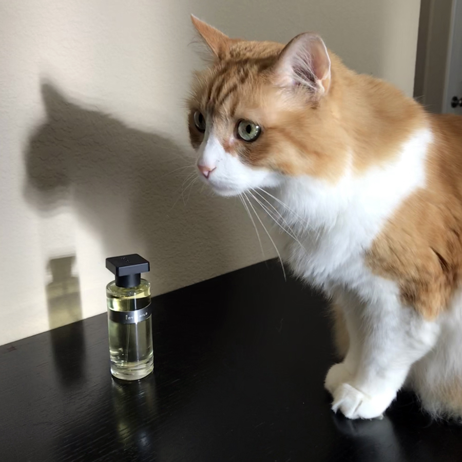 Rusty and Ineke Idyllwild