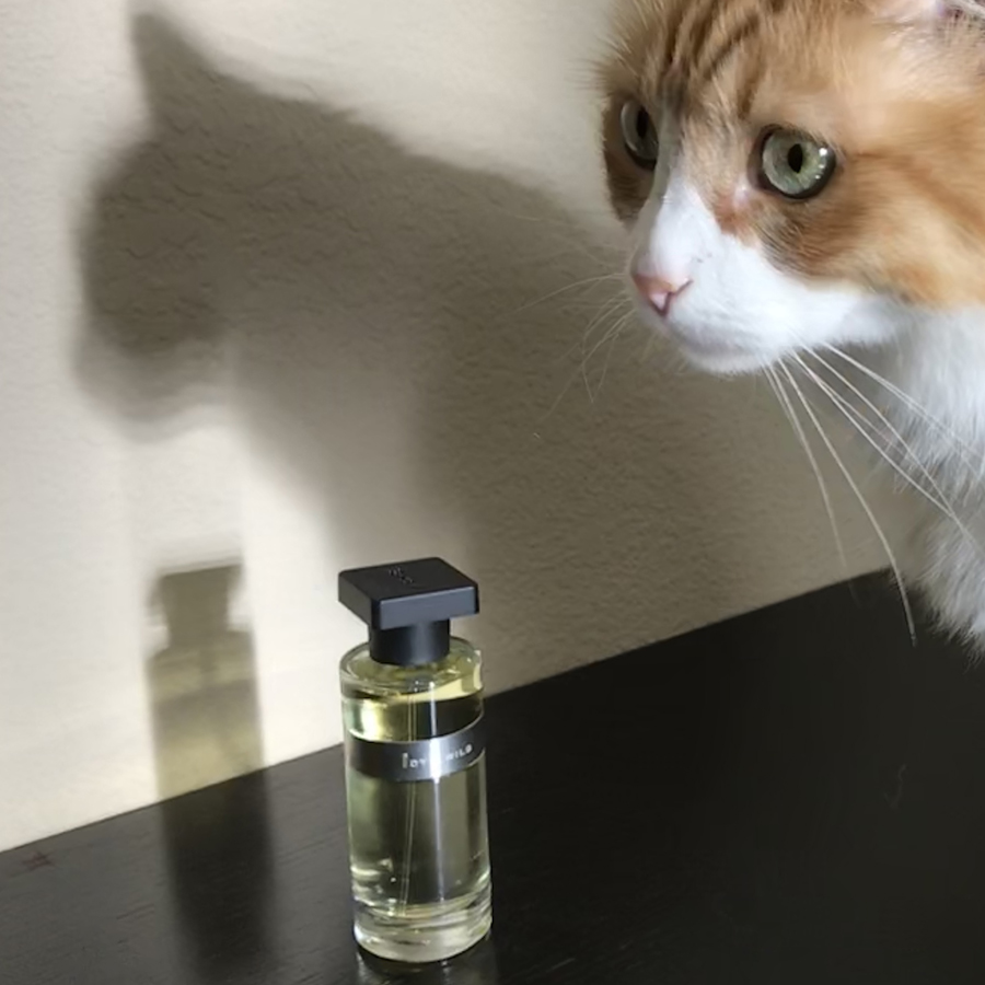 Rusty and Ineke Idyllwild