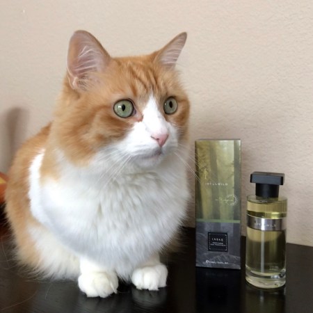 Rusty and Ineke Idyllwild