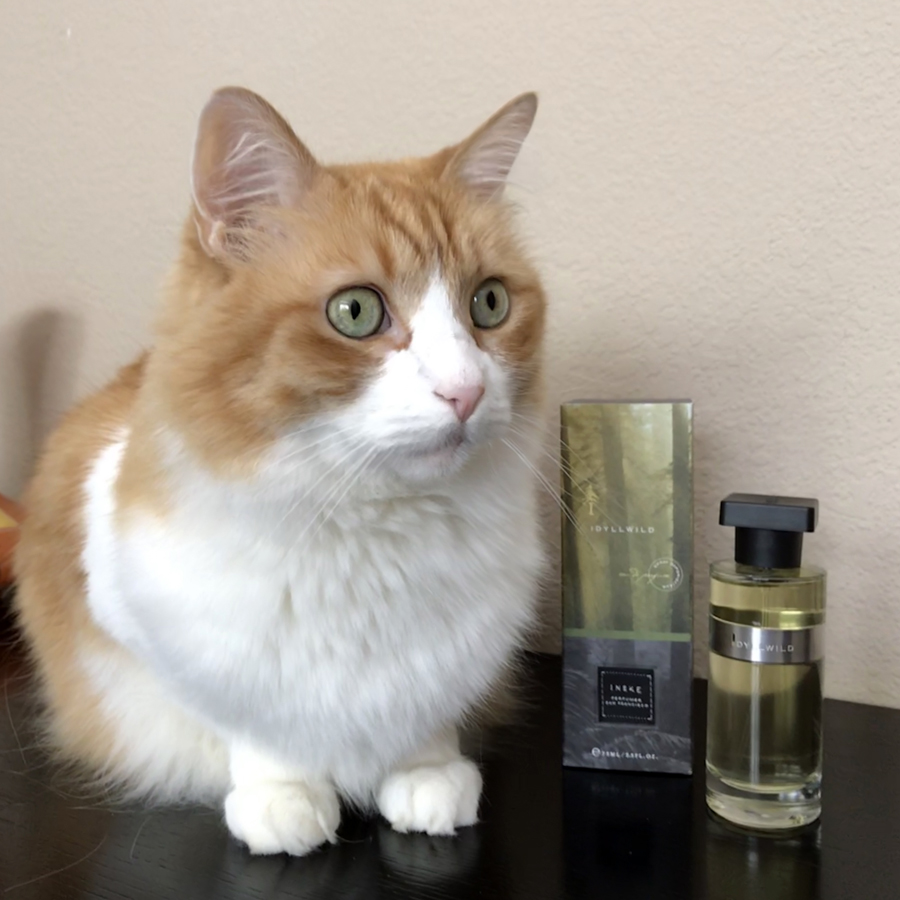 Rusty and Ineke Idyllwild