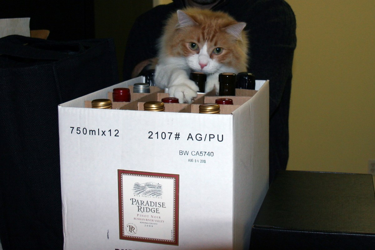 Rusty and Paradise Ridge Wines