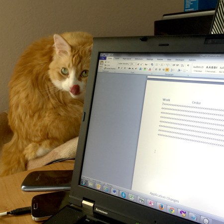 Rusty "helps" me to work