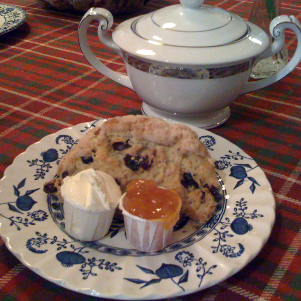 Equestrian Shop and Tea Room SF