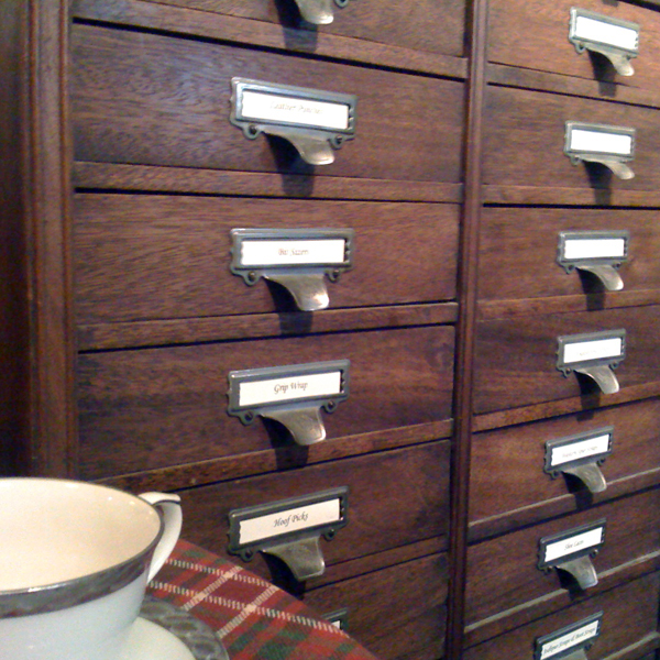 Equestrian Shop and Tea Room SF