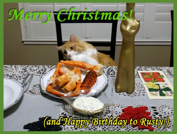 Rusty and Christmas 2017