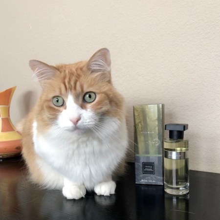 Rusty and Ineke Idyllwild