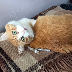 Rusty and Molvizar and Atelier des Ors Samples