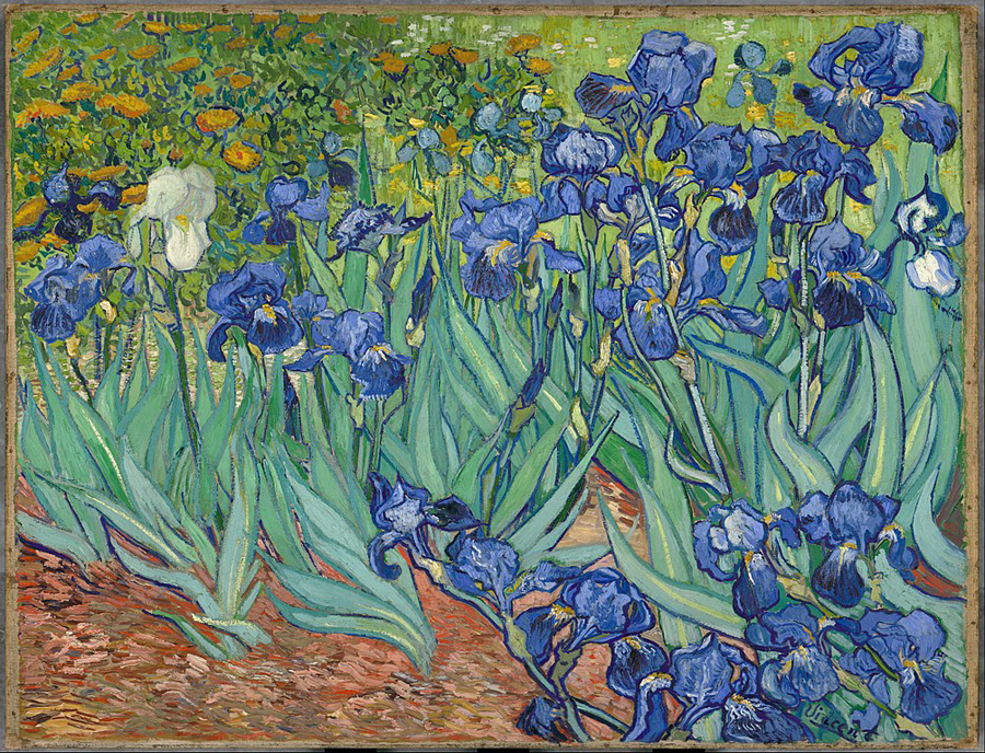 Vincent van Gogh Irises