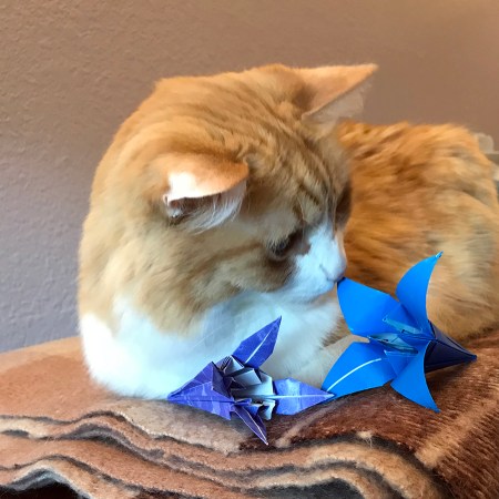 Rusty and Origami Iris