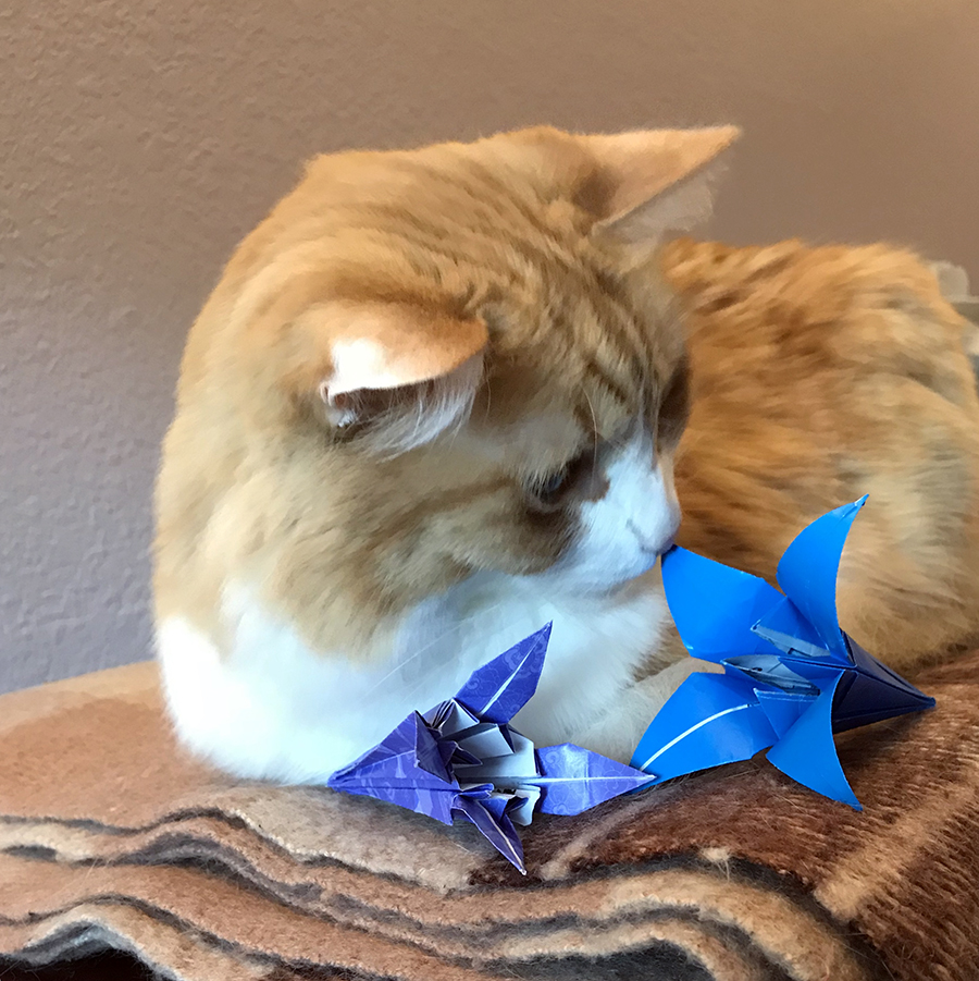 Rusty and Origami Iris