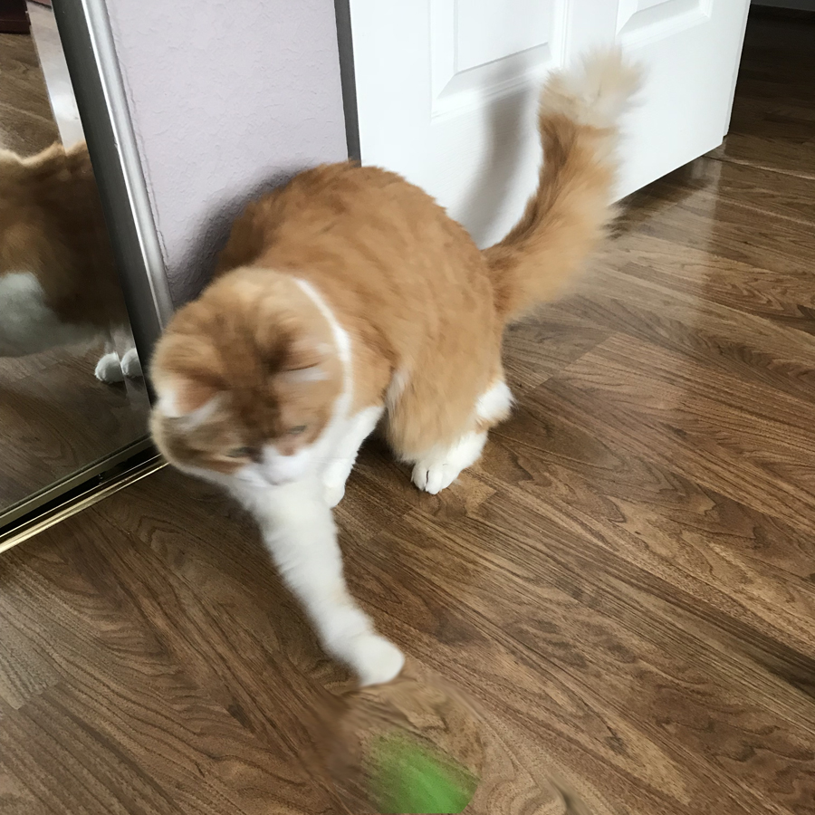 Rusty chooses between Winter and Spring