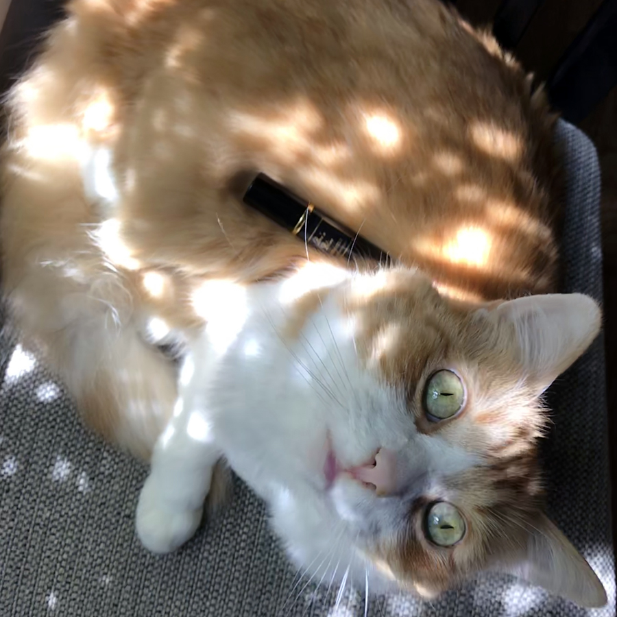 Rusty and Sonoma Scent Studio Bee's Bliss