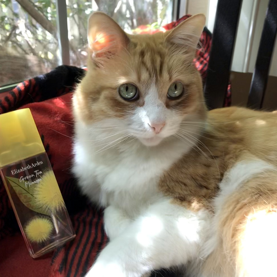 Rusty and Elizabeth Arden Green Tea Mimosa