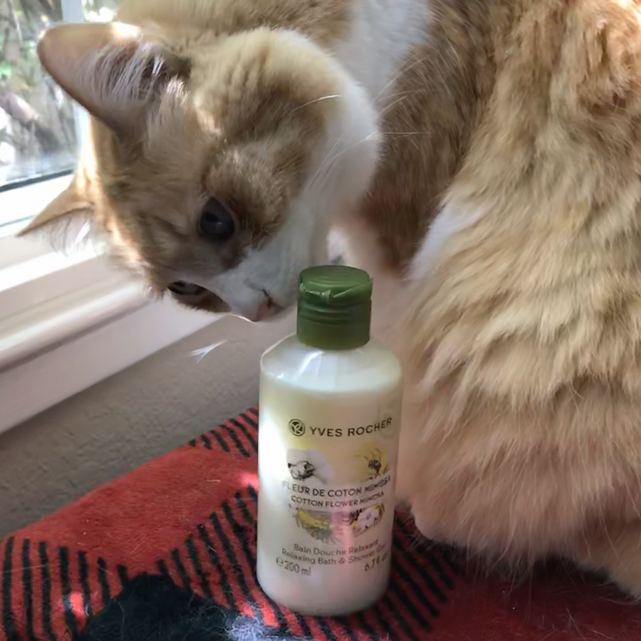 Rusty and Yves Rocher Cotton Flower & Mimosa Shower Gel