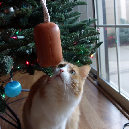 Rusty and Soap on a Roap