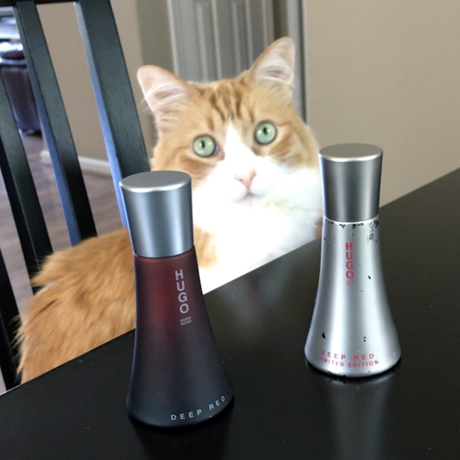 Rusty and Hugo Boss Deep Red