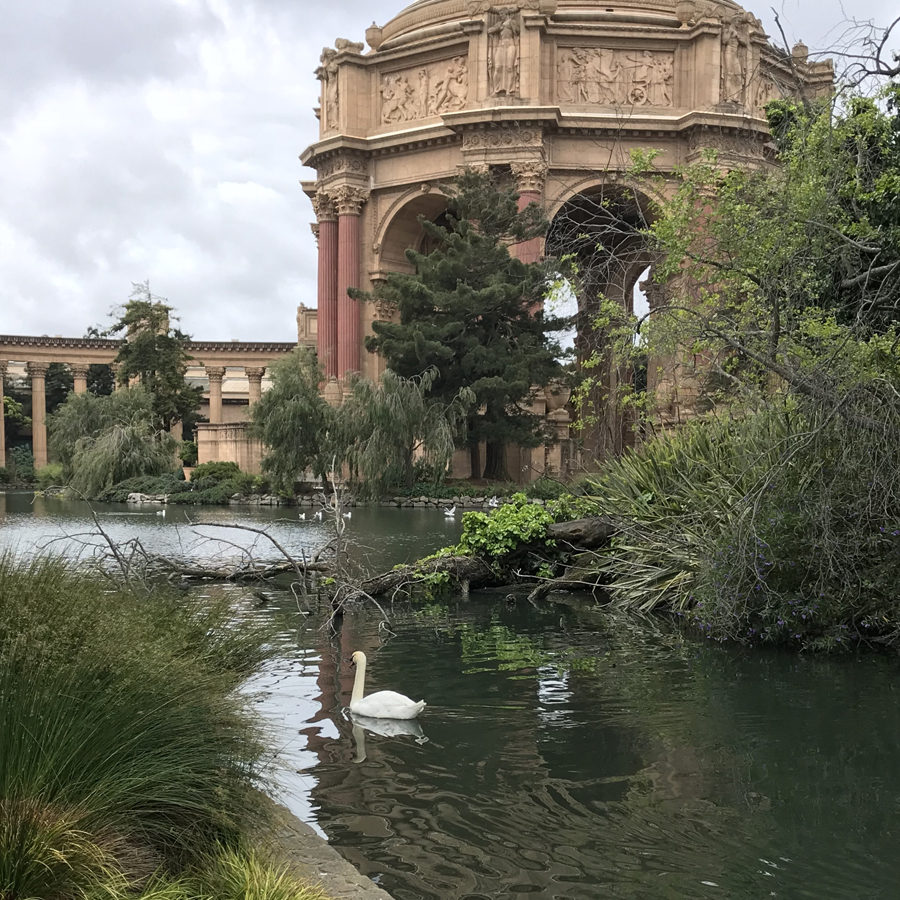San Francisco The Palace of Fine Arts