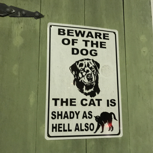 New Orleand Beware of the Cat