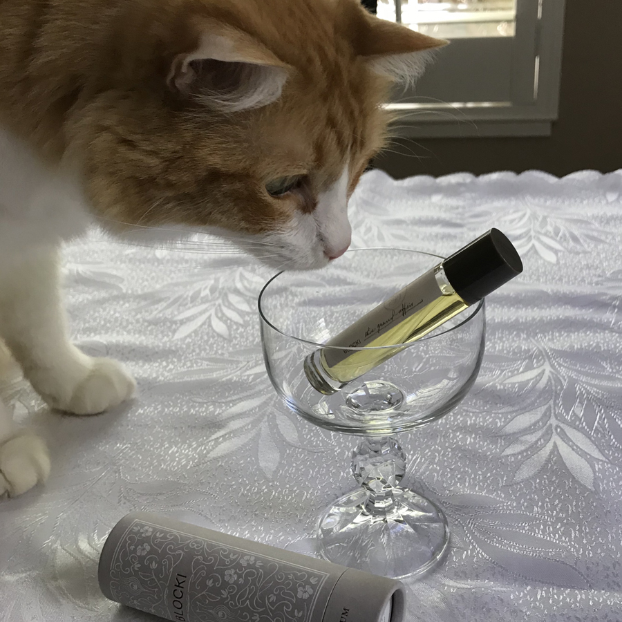 Rusty and Blocki This Grand Affair