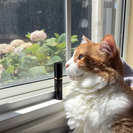 Rusty and Sonoma Scent Studio Bee's Bliss