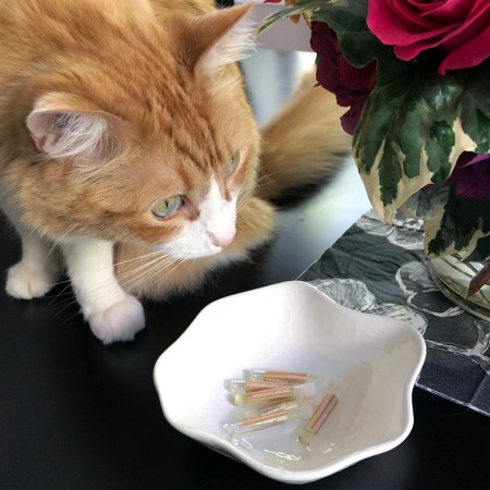 Rusty and Tiger Lily Samples