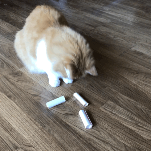 Rusty Choosing Ex Nihilo Draw Winner