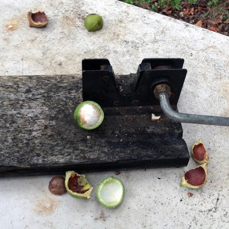 Big Island Macadamia Nuts