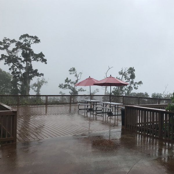 Big Island Rainy Day