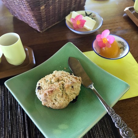 Scone and passion fruit curd