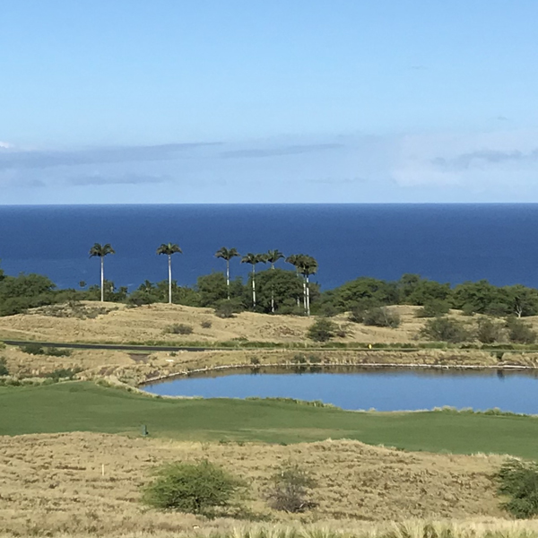 Big Island Sunny Day