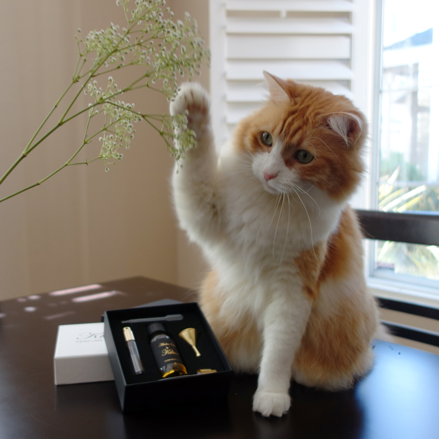 Rusty and By Kilian Amber Oud