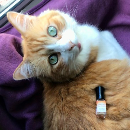 Rusty and En Voyage Captured In Amber