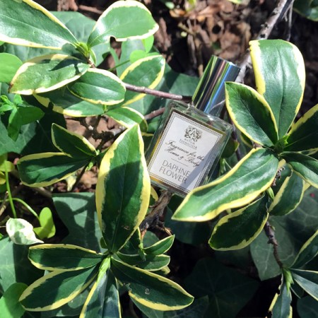 Antica Farmacista Daphne Flower Perfume