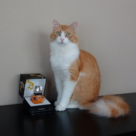 Rusty and Givenchy Harvest 2007 Amarige Mimosa