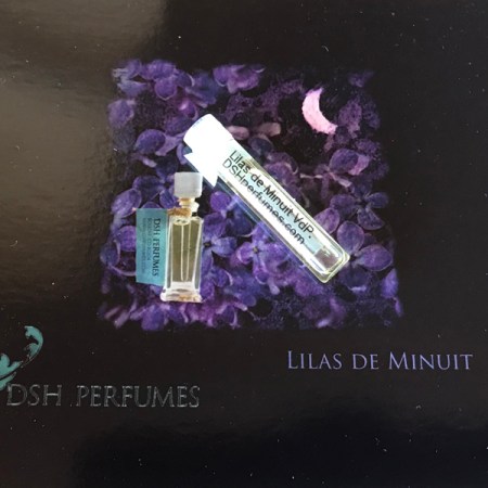 DSH Lilas de Minuit