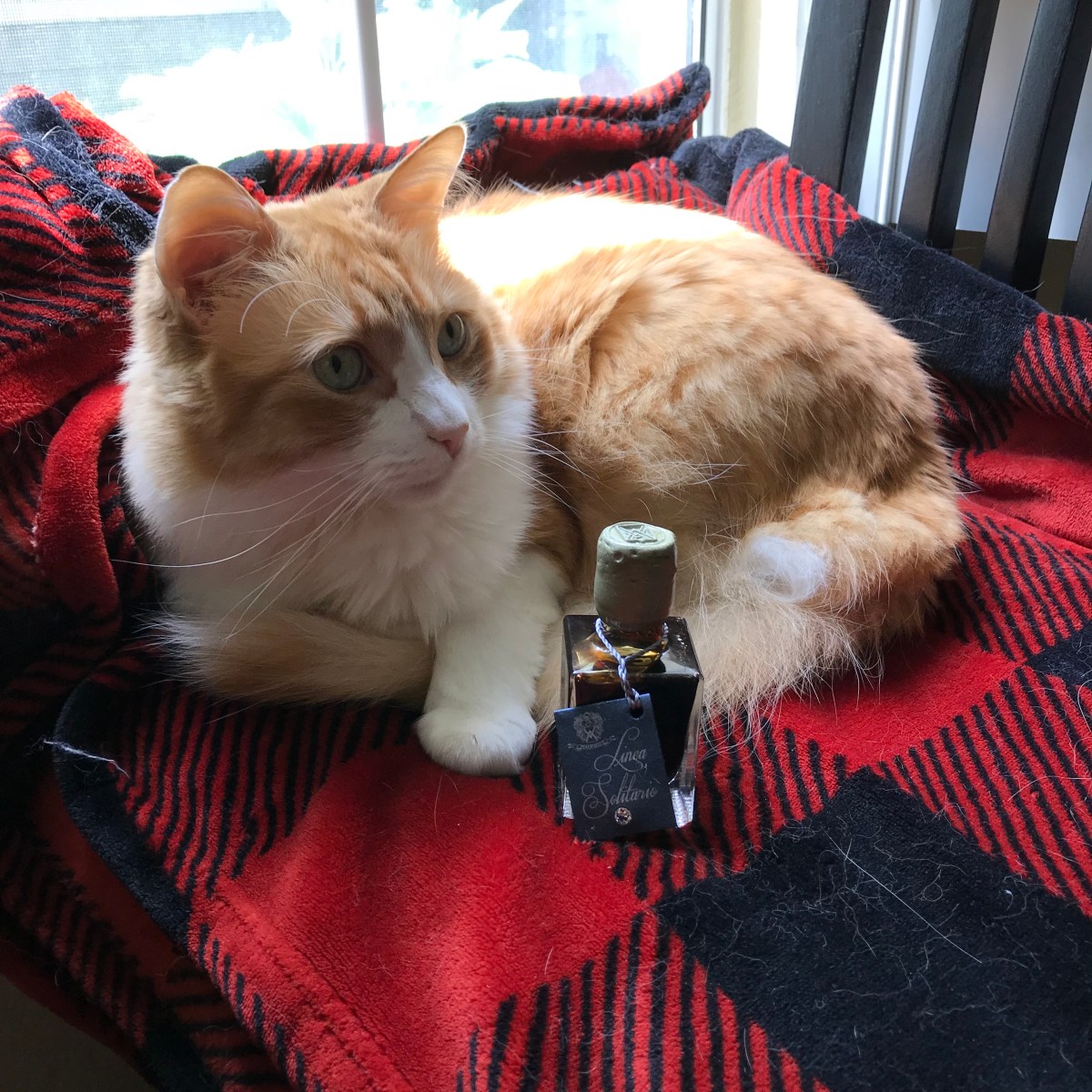 Rusty and Linea Solitario Balsamic Vinegar