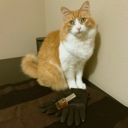 Rusty and Nappa Noir