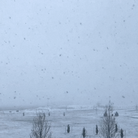Snow in Denver (April 2019)