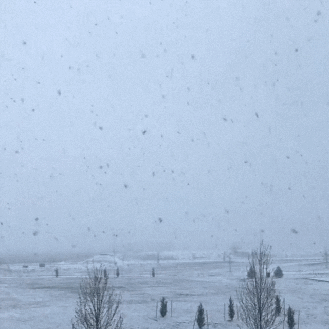 Snow in Denver (April 2019)