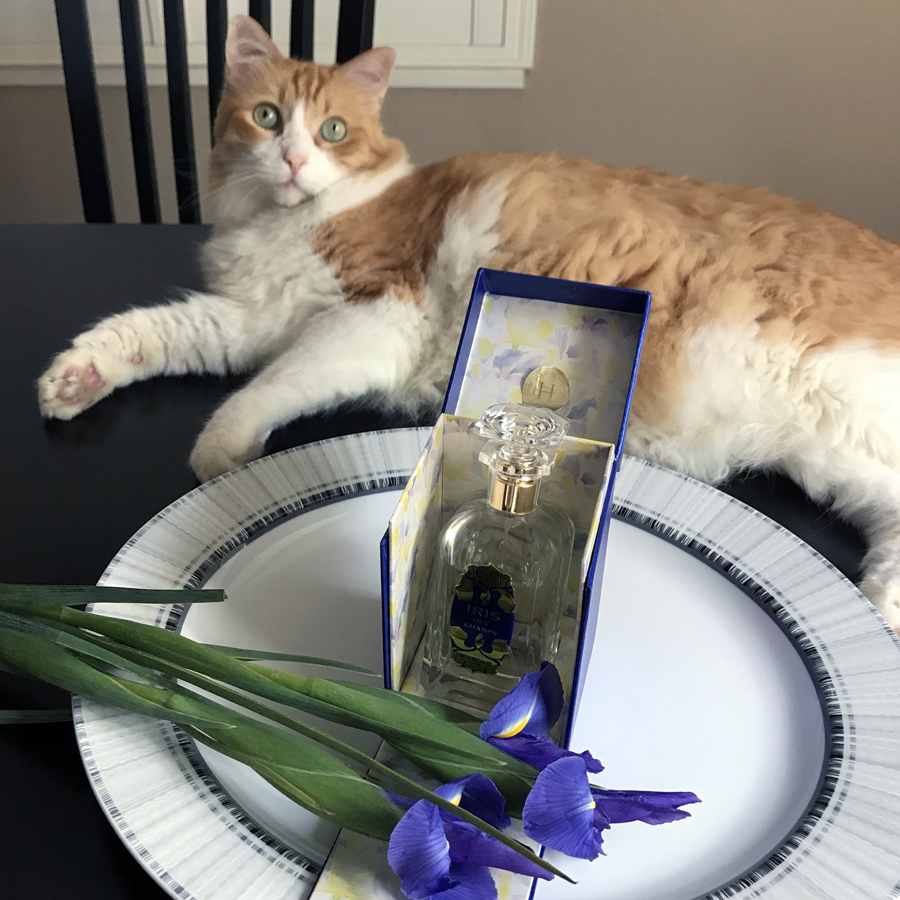 Rusty and Houbigant Iris des Champs