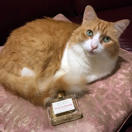 Rusty and DelRae Coup de Foundre