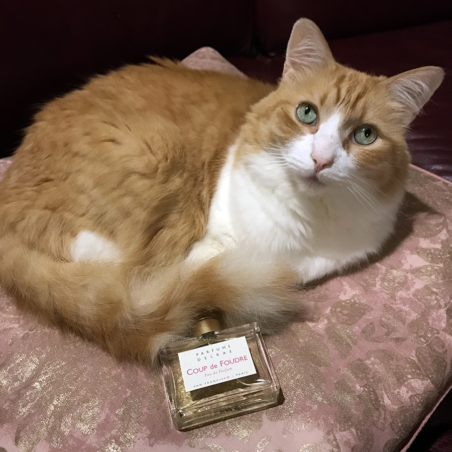 Rusty and DelRae Coup de Foundre