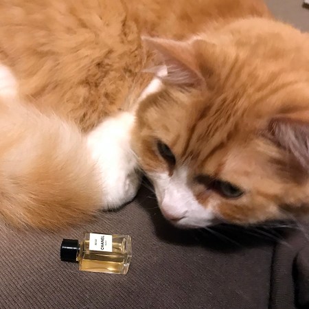 Rusty and Chanel Beige