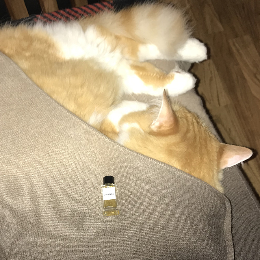 Rusty and Chanel Beige