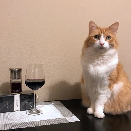 Rusty and Bello Rabelo